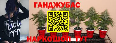 альфа пвп Волжск