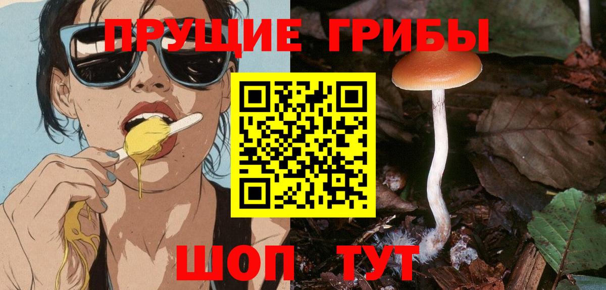 Ялуторовск  Галлюциногенные грибы MAGIC MUSHROOMS  Вход с VPN 