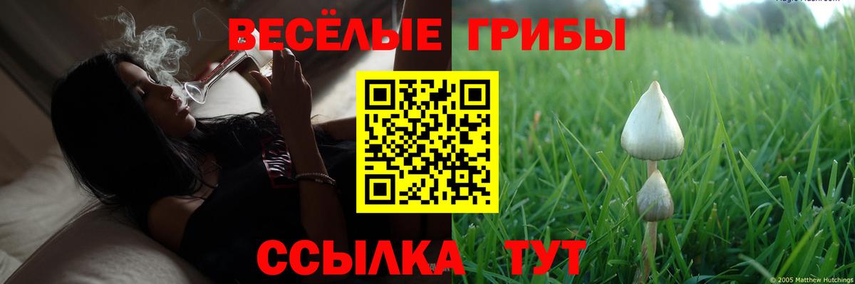 Галлюциногенные грибы прущие грибы Ялуторовск